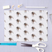 Tarantula cartoon illustratie tissuepapier (Craft)