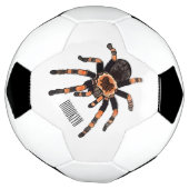 Tarantula cartoon illustratie voetbal (Gedraaid)
