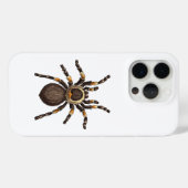 Tarantula Case-Mate iPhone Case (Achterkant (horizontaal))