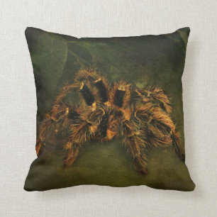 Tarantula Cushion Kussen