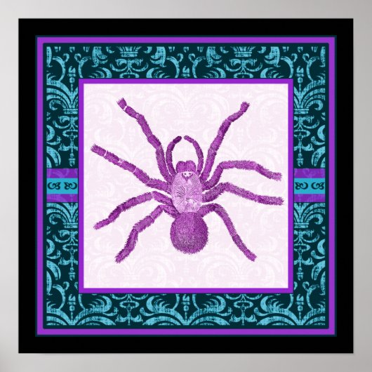 Tarantula - Elegante Teal & Fuschia Damast Rand Poster (Voorkant)