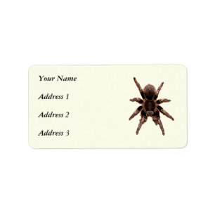 Tarantula Etiket