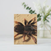 Tarantula-foto Briefkaart (Staand voorkant)