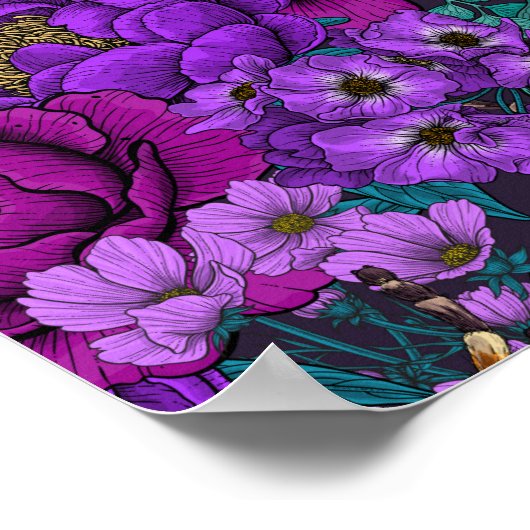 Tarantula garden 3 poster (Hoek)