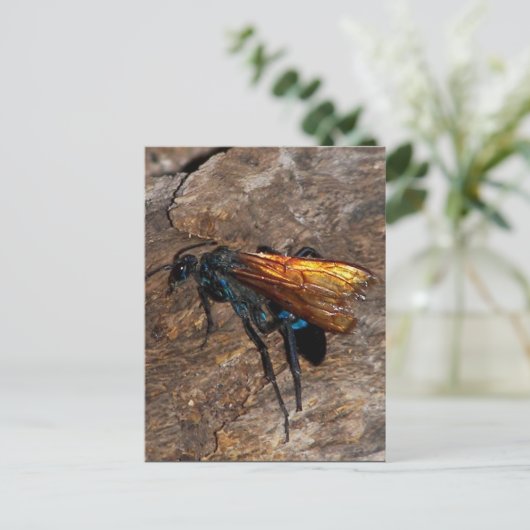 Tarantula Hawk Briefkaart (Staand voorkant)