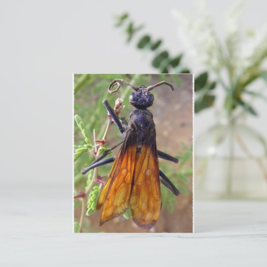 Tarantula Hawk Briefkaart (Staand voorkant)