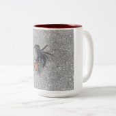 Tarantula Hawk voedt zich op een tarantula Tweekleurige Koffiemok (Voorkant rechts)