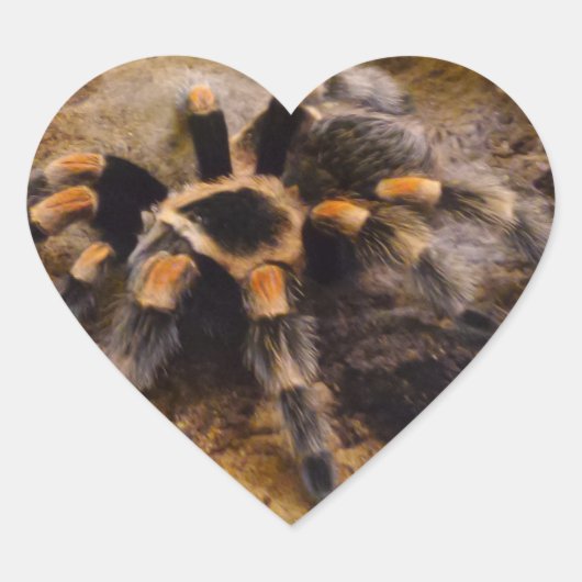 Tarantula Heart Sticker (Voorkant)