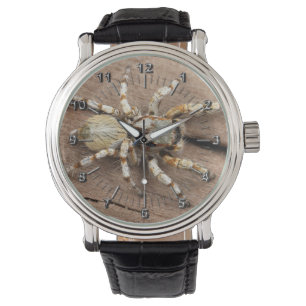 Tarantula Horloge