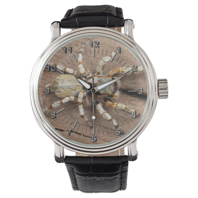 Tarantula Horloge (Voorkant)