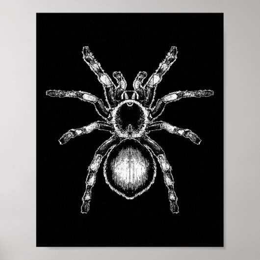 Tarantula Huge Spider Phobia Halloween Costume Ara Poster (Voorkant)