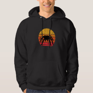 Tarantula Insects Bug Retro  Sunset Hoodie