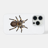 Tarantula iPhone Hoesje (Achterkant horizontaal)