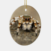 Tarantula Jumping Bird Spider geweldige accessoire Keramisch Ornament (Rechts)