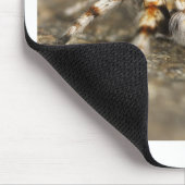 Tarantula Jumping Bird Spider geweldige accessoire Muismat (Hoek)