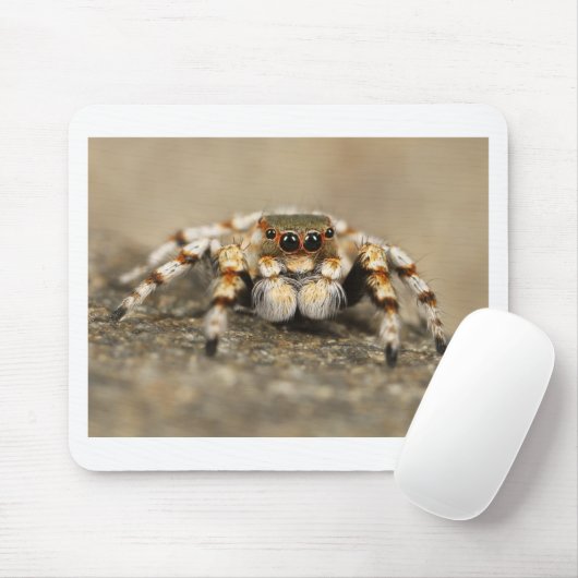 Tarantula Jumping Bird Spider geweldige accessoire Muismat (Met muis)