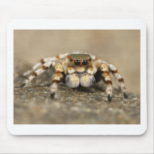 Tarantula Jumping Bird Spider geweldige accessoire Muismat
