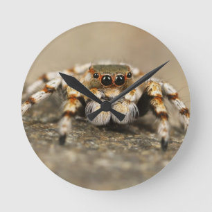 Tarantula Jumping Bird Spider geweldige accessoire Ronde Klok