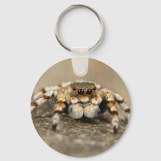Tarantula Jumping Bird Spider geweldige accessoire Sleutelhanger (Voorkant)