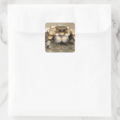 Tarantula Jumping Bird Spider geweldige accessoire Vierkante Sticker (Tas)