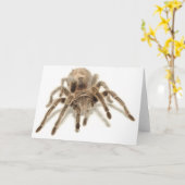 Tarantula Kaart (Gele Bloem)