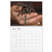 Tarantula-kalender voor 2018 kalender (Mar 2026)