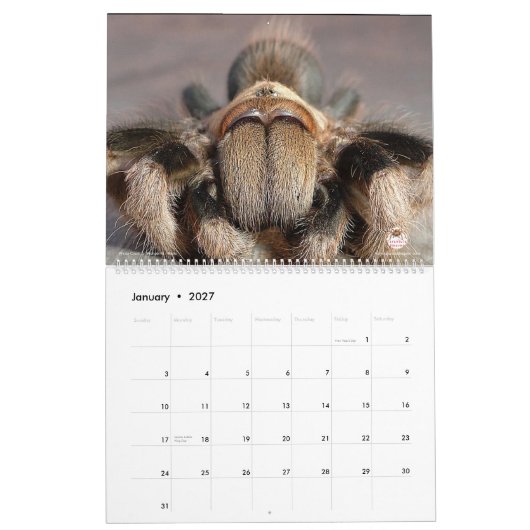 Tarantula-kalender voor 2018 kalender (Jan 2027)