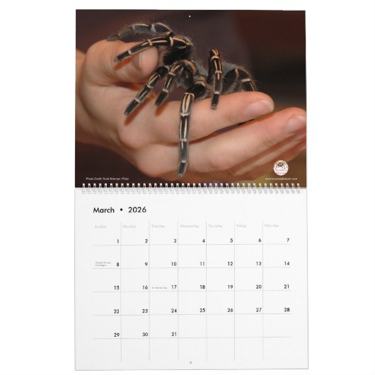 Tarantula-kalender voor 2018 kalender (Mar 2026)
