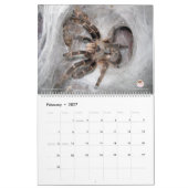 Tarantula-kalender voor 2018 kalender (Feb 2027)