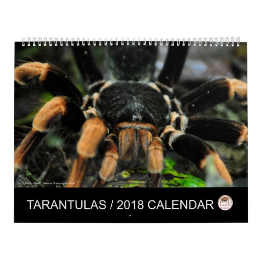 Tarantula-kalender voor 2018 kalender (Hoes)