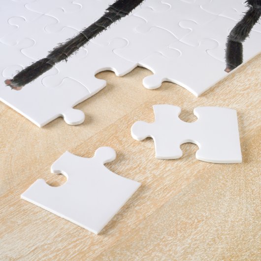 Tarantula Legpuzzel (Zijkant)