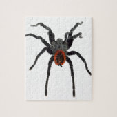 Tarantula Legpuzzel (Verticaal)