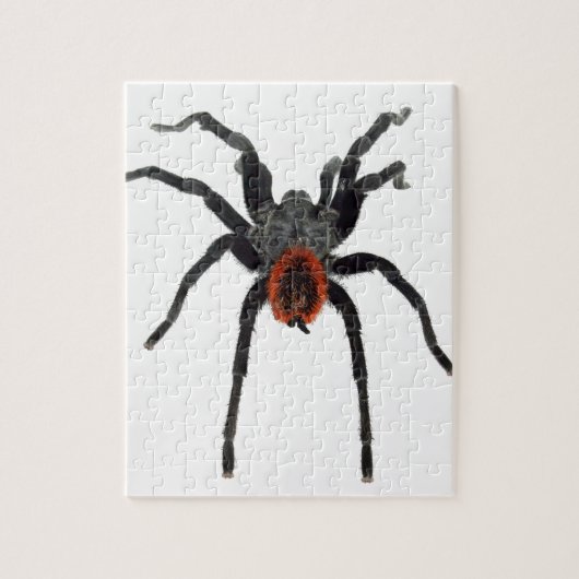 Tarantula Legpuzzel (Verticaal)