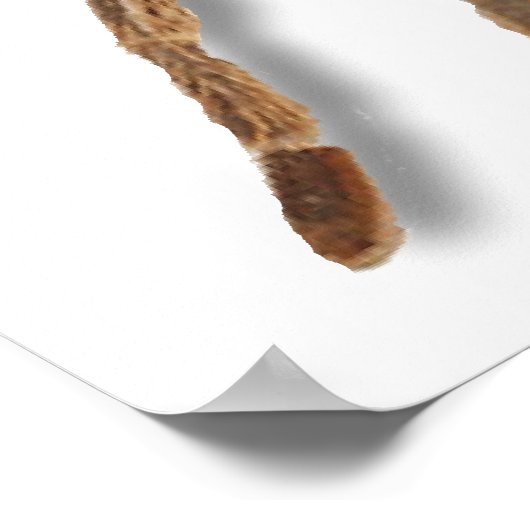 Tarantula Lightning Poster (Hoek)