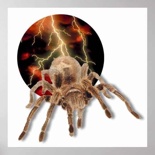 Tarantula Lightning Poster (Voorkant)