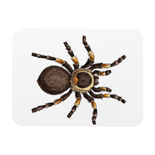 Tarantula Magneet (Horizontaal)