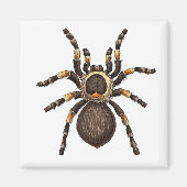 Tarantula Magneet (Voorkant)