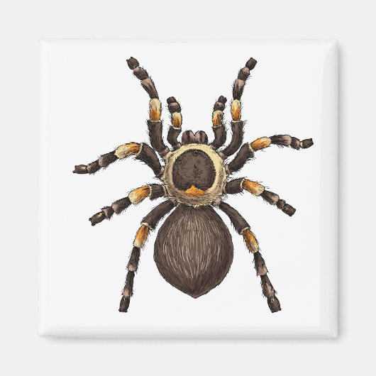 Tarantula Magneet (Voorkant)