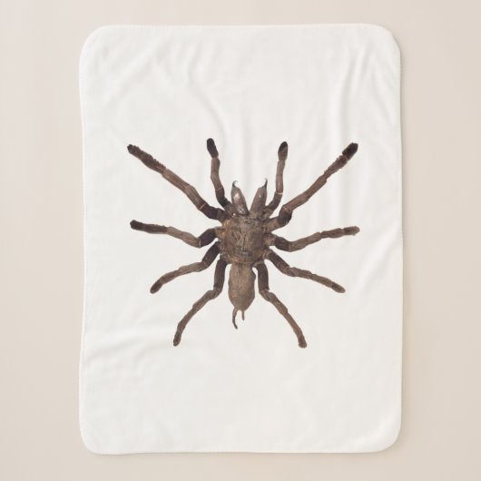 tarantula-mantel sherpa deken (Voorkant)