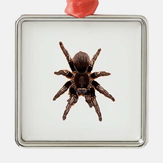 Tarantula Metalen Ornament (Voorkant)