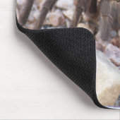 Tarantula Muismat (Hoek)