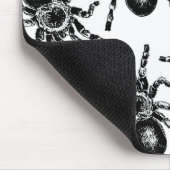 Tarantula Muismat (Hoek)