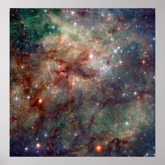 Tarantula Nebula Hubble Space Poster (Voorkant)