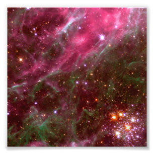 Tarantula Nebula (Hubble Telescope) Foto Afdruk