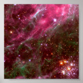 Tarantula Nebula (Hubble Telescope) Poster (Voorkant)