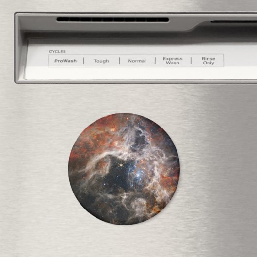 Tarantula Nebula Magnet (Insitu (Vaatwasser))