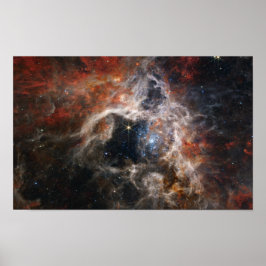 Tarantula Nebula Space Afbeelding Poster