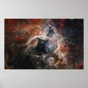 Tarantula Nebula Space Afbeelding Poster