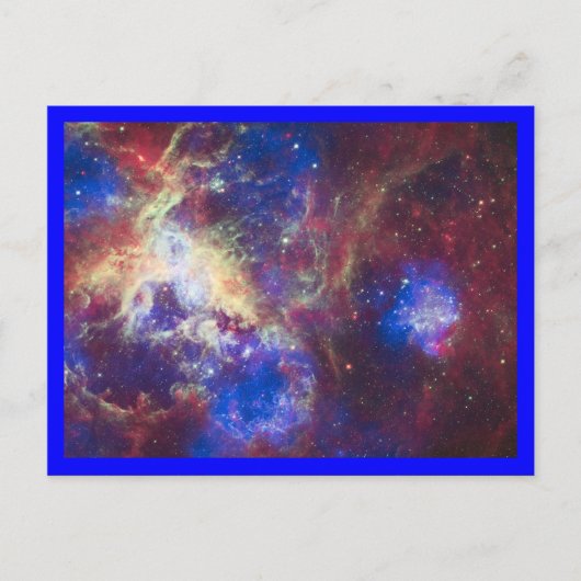 Tarantula-nevel Blauwe Rand Briefkaart (Voorkant)