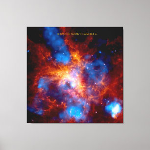 Tarantula-nevel Canvas Afdruk